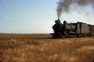 9.1963, Gordon Siding - Quorn to Hawker - T211 on goods train