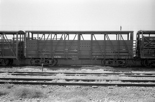 4.1971,Port Augusta - cattle van CB751