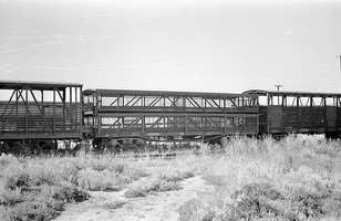 12.1971,Port Pirie - sheep van SB1499 + part cattle van CB743